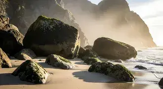 massive boulders covered in moss rest on a tranquil sandy shore, lit by warm sunrise light and shrouded in coastal morning mist beneath steep cliffs download