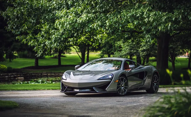 McLaren 570S sportwagen geparkeerd voor boom