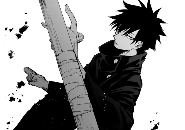 Megumi Fushigura : Jujutsu Kaisen