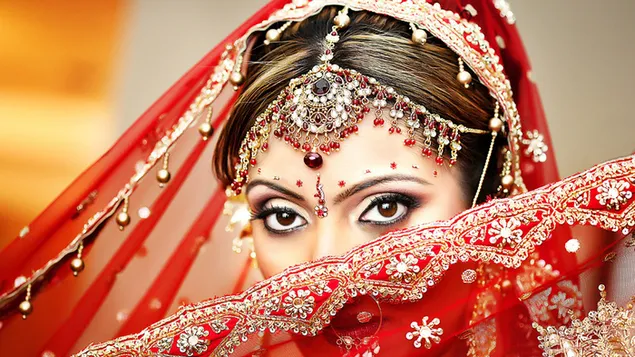 美しい赤いサリーを身に着けているインドの花嫁