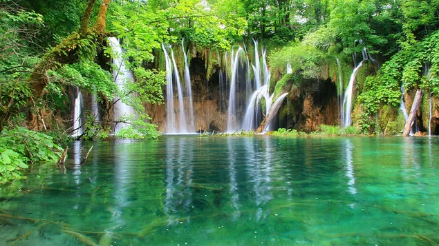 美しい緑の滝