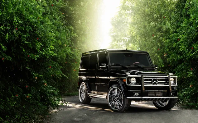 Mercedes Benz G Rang íoslódáil