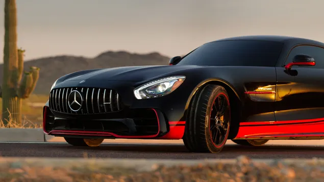Mercedes wereldberoemd sterlogo, opvallende zwarte en rode kleuren en nobele houding.
