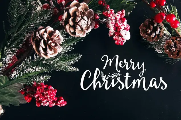 Leng Dong Jiang Guo He Zhui Ti Fu Jin De Sheng Dan Kuai Le Zi Mu He Hei Se Bei Jing  Xia Zai