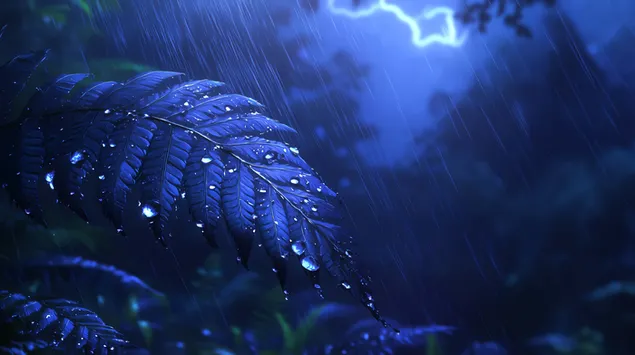 betoverende makro van watergesoende blaarpatrone aflaai