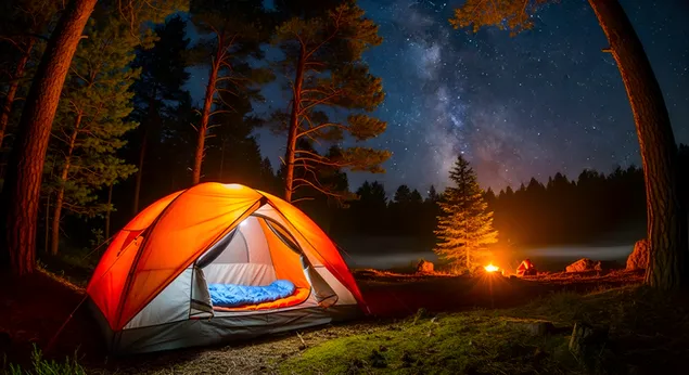 pauksciu tako stovyklavimas: zvaigzdziu stebejimo nuotykis misko nakti atsisiusti