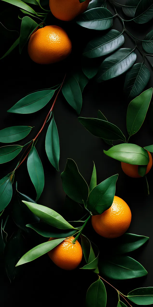 Arranjo minimalista de frutas e folhagens verde-escuras HD papel de parede