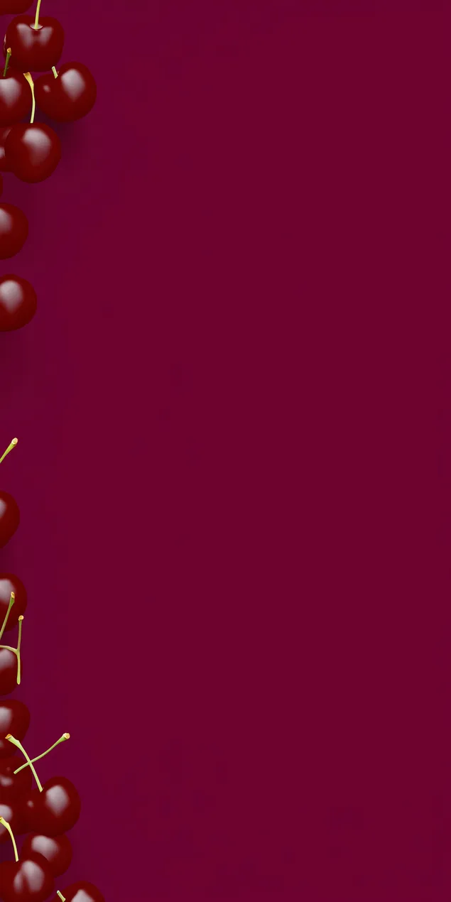 minimalista szegely fenyes gyumolcsokkel egyszinu hatteren letoltes