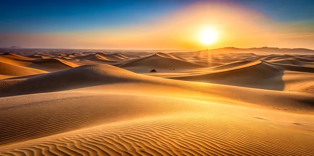 Minimalistiska ökendyner, fridfull enkelhet under en gyllene solnedgång 4K bakgrund