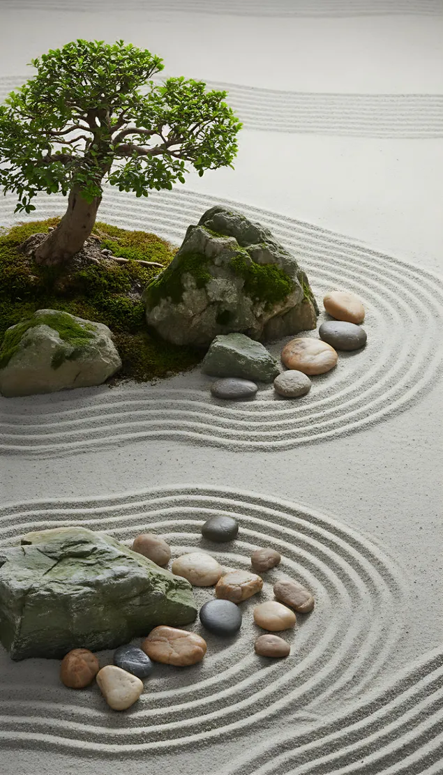 tnsyq lmnZr lTby`y@ lHdyq@ zin lbsyT@ ltnzyl