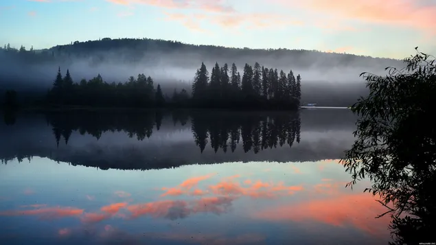 Nebel, Wolken und Reflexion von Bäumen im Wasser zwischen Wäldern