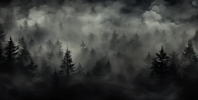 Misty Dark Pine Forest K Wallpaper Download