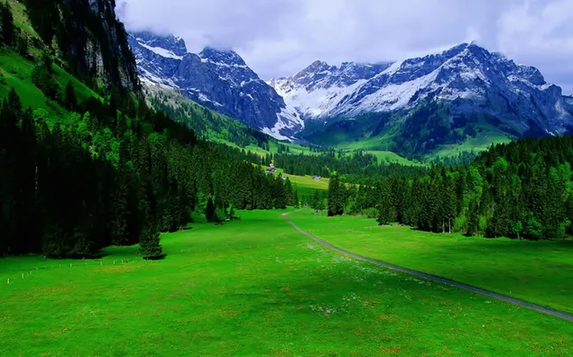 Misty montañas nevadas en el paisaje de árboles y hierba de color verde natural