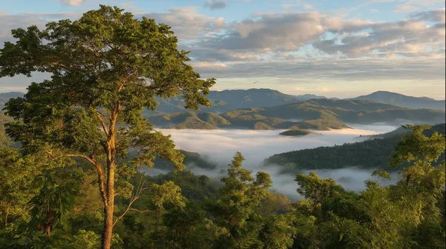 phra`aathitykhuenainhubekhaahm`kphr`mpaaekhiiywkhcchii daawnohld