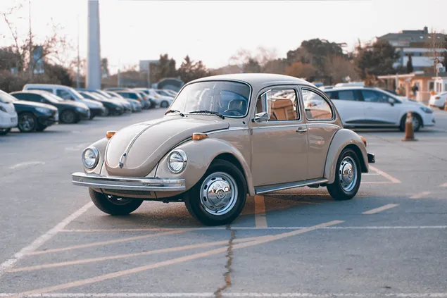 Mobil Brown Classic Beetle di tempat parkir