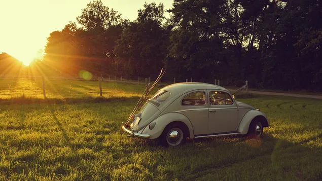 Mobil kumbang volkswagen putih saat matahari terbenam