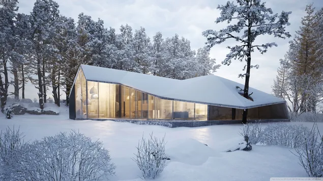 Rumah modern dengan lampu di salju di tepi hutan di musim dingin dan pohon yang tumbuh nyaman di atapnya