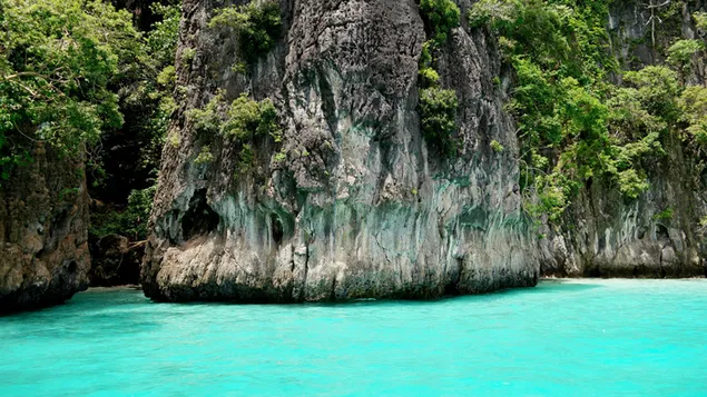 monkey beach phi phi island tourist attraktioun - phuket thailand eroflueden