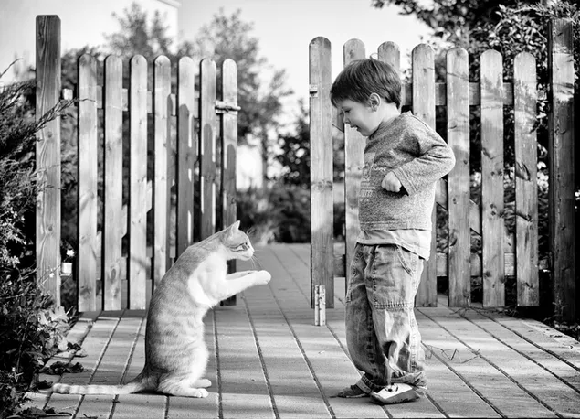 Monocromo: Adorable gato bailarín y un niño