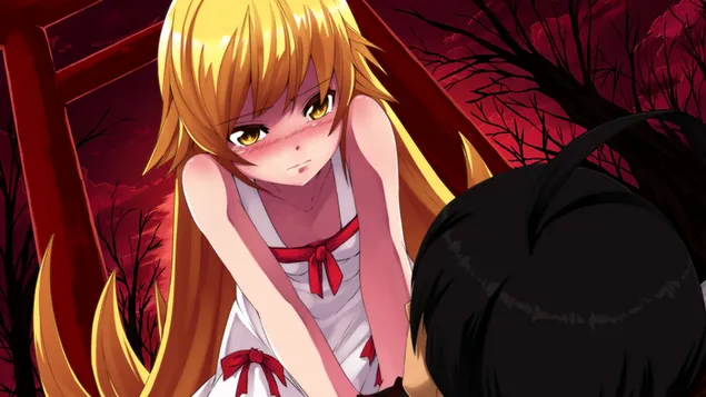 Taustpilt Monogatari sari – Shinobu Oshino HD