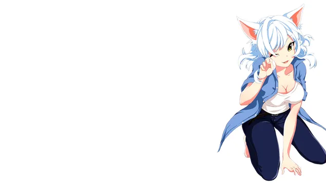 Monogatari - tsubasa hanekawa HD bakgrund