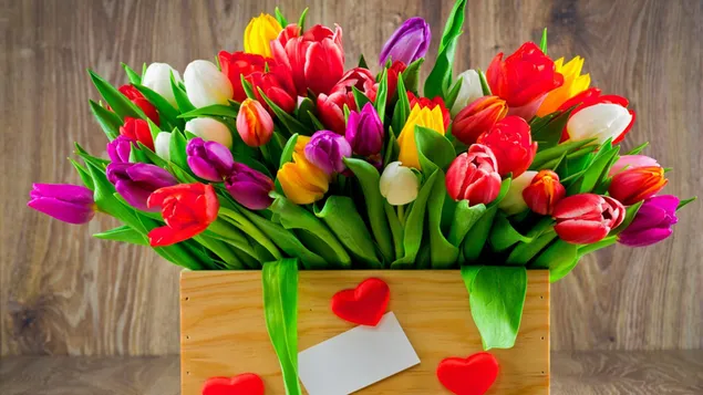 Montón de coloridos tulipanes