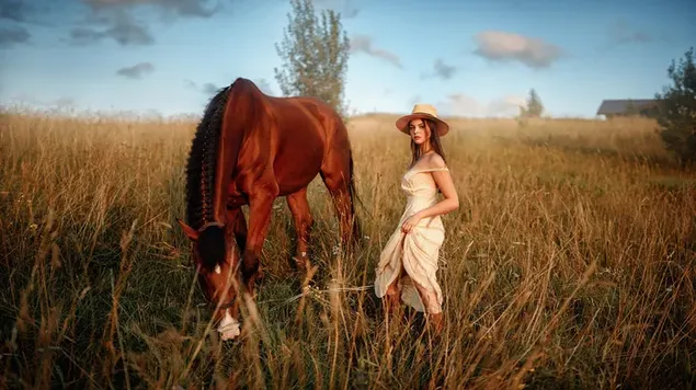 Mooi vrouwelijk model met bruin mooi paard en strohoed in witte jurk op gras