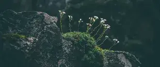 Tapeta mechový rock ultrawide Art Skyline HD Art 2K