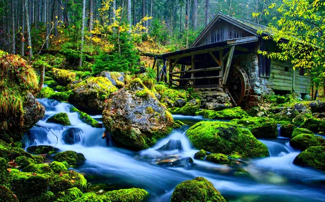 Batu berlumut di hutan dalam warna musim gugur dan musim panas dan kincir angin kayu di tepi sungai
