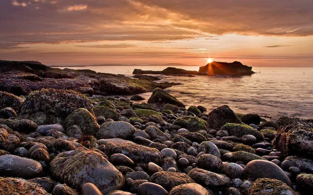 Bemoste stenen aan de kust bij zonsondergang (Acadia National Park) HD achtergrond