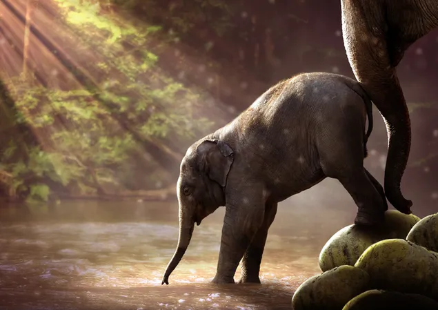 Induk gajah membantu bayi gajahnya meminum air di bawah sinar matahari yang menembus dedaunan di hutan