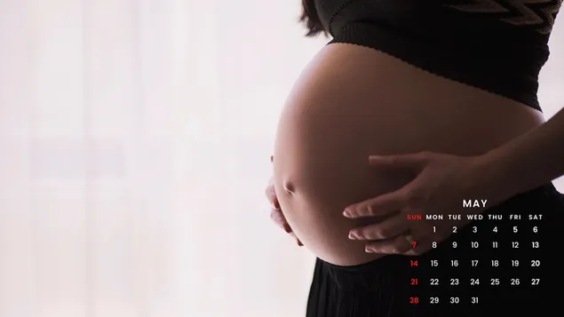 `yd l'm - lmr'@ lHml , l'm lHml , myw 2023 ltqwym ltnzyl