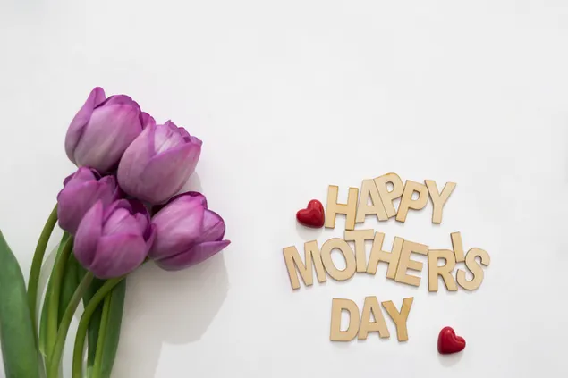 Muttertag - Lila Tulpen 4K Hintergrundbild