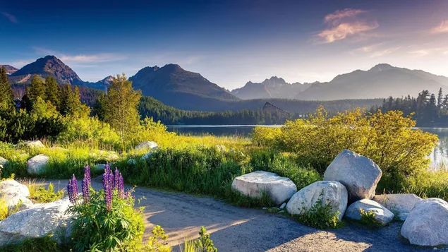 Shan  | Hu | Chang Jing Xia Zai