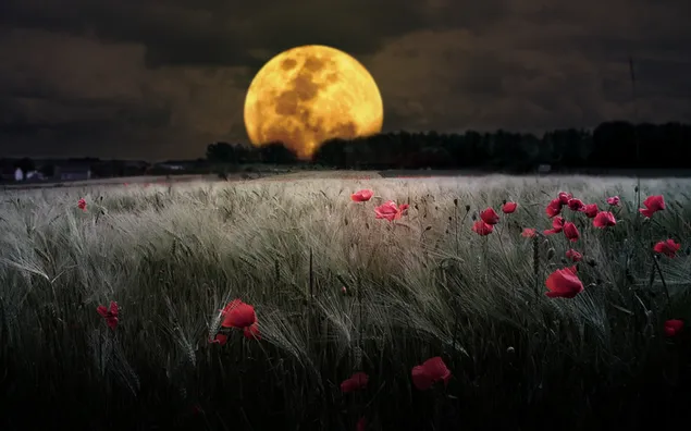 Mountain silhouettes behind a field of grass and flowers and a yellow full moon illuminating the cloudy sky