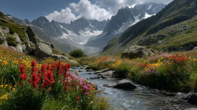 山涧溪流穿过生机勃勃的高山野花草甸 2K 壁纸
