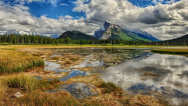 マウンテンビューの風景 HD 壁紙