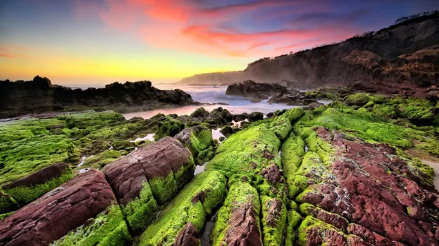 Mountains and mossy stones by the sea lit up at sunrise as the sun rises behind the hills