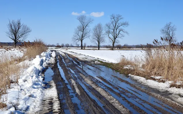 Jalan berlumpur di musim dingin