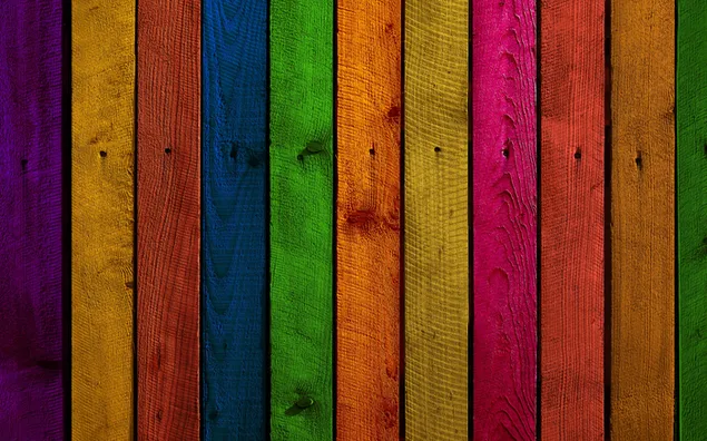 Valla de madera multicolor, tableros, ramas, abeto, fondo