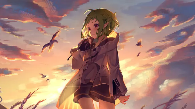 Mushoku Tensei: Jobless Reincarnation - 'Sylphiette' 4K bakgrunn