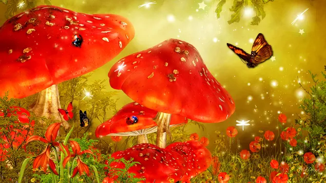 Mushrooms in Enchanted Forest