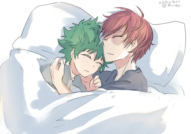 My Hero Academia - Izuku Midoriya & Shoto Todoroki Sleeping 2K 壁纸