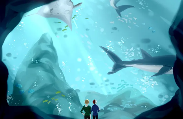 Ми Херо Ацадемиа - Катсуки Бакуго & Схото Тодороки 2K позадина