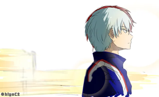 My Hero Academia - Shoto Todoroki Sun Bath 2K bakgrund