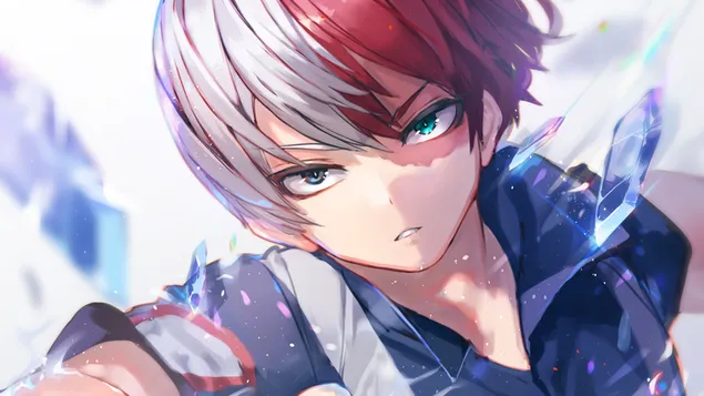 Akademia wira saya, shoto todoroki 4K kertas dinding