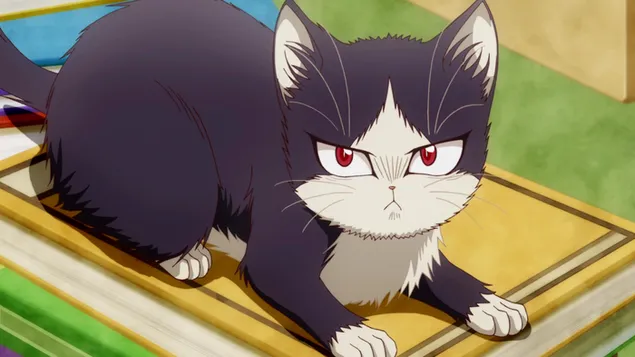 我的室友是貓 - Haru HD 壁紙