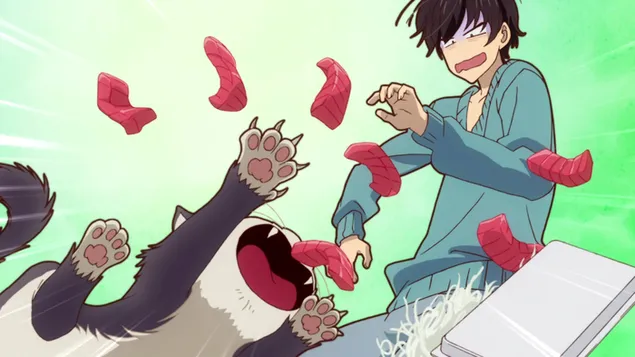 我的室友是一隻貓 HD 壁紙