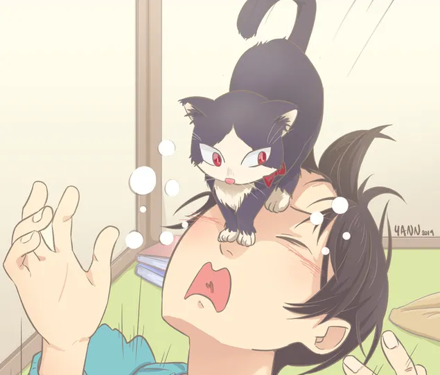 我的室友是一隻貓 2K 壁紙