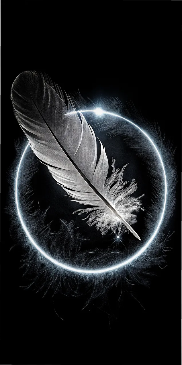 Geheimnisvolle Feder in einem leuchtenden Kreis vor dunklem Hintergrund 2K Hintergrundbild